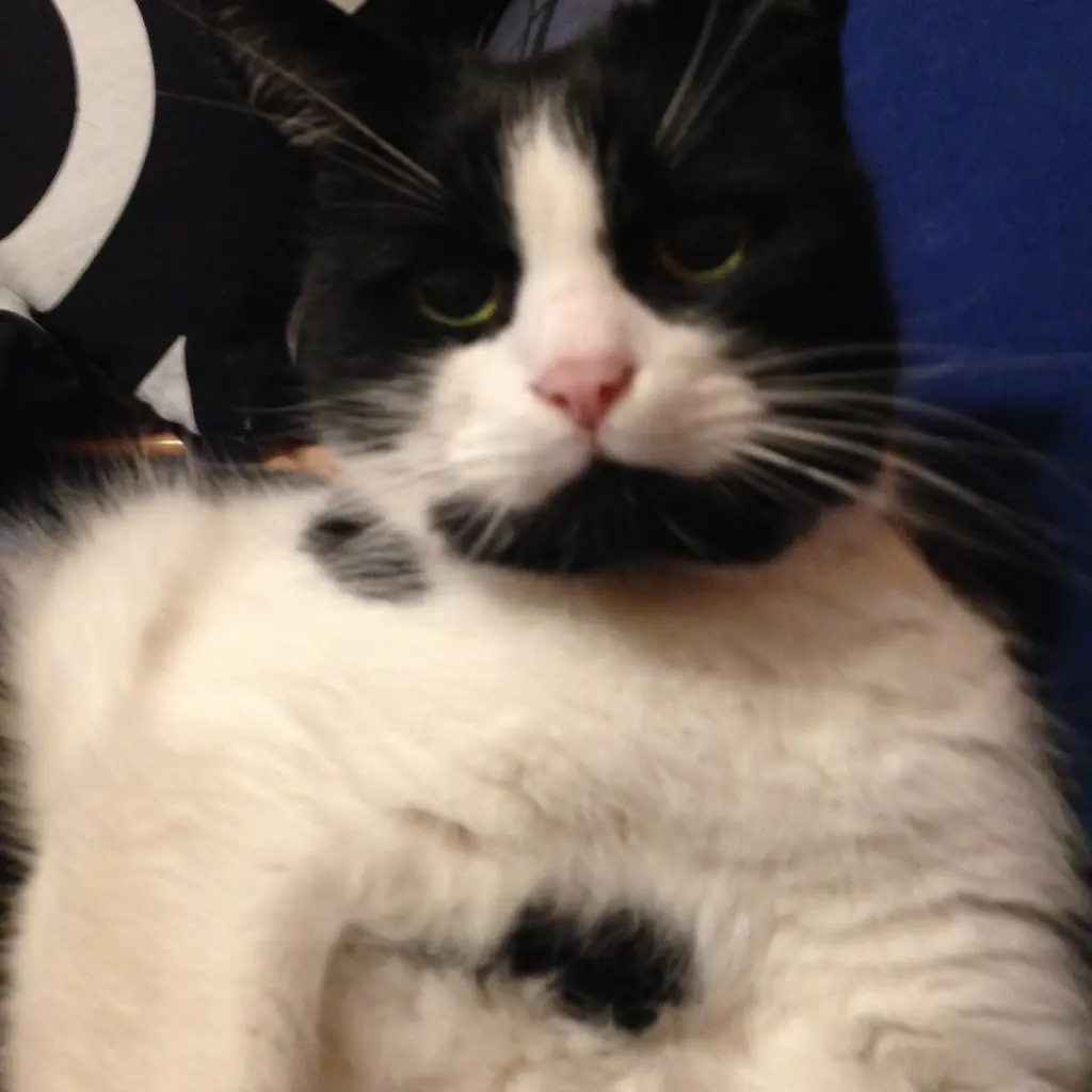 Condolence image of Astrid 