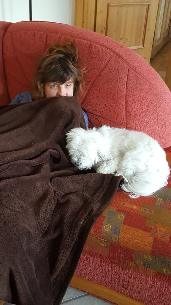 Image from Gismo