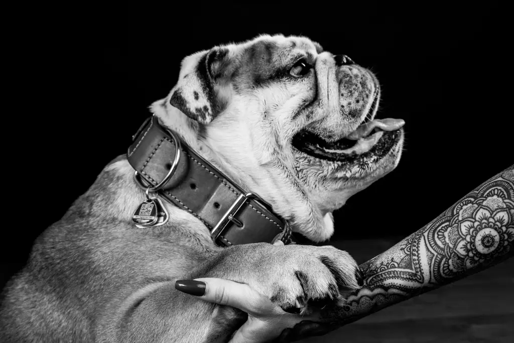 Andachtsbild von Corina mit Tito im ????en