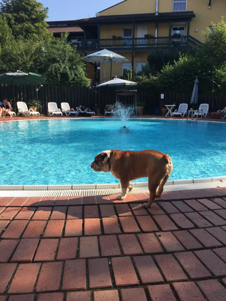 Andachtsbild von Corina