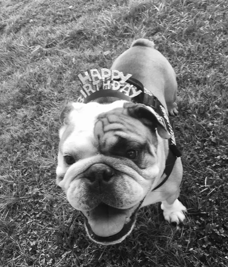 Andachtsbild von Corina