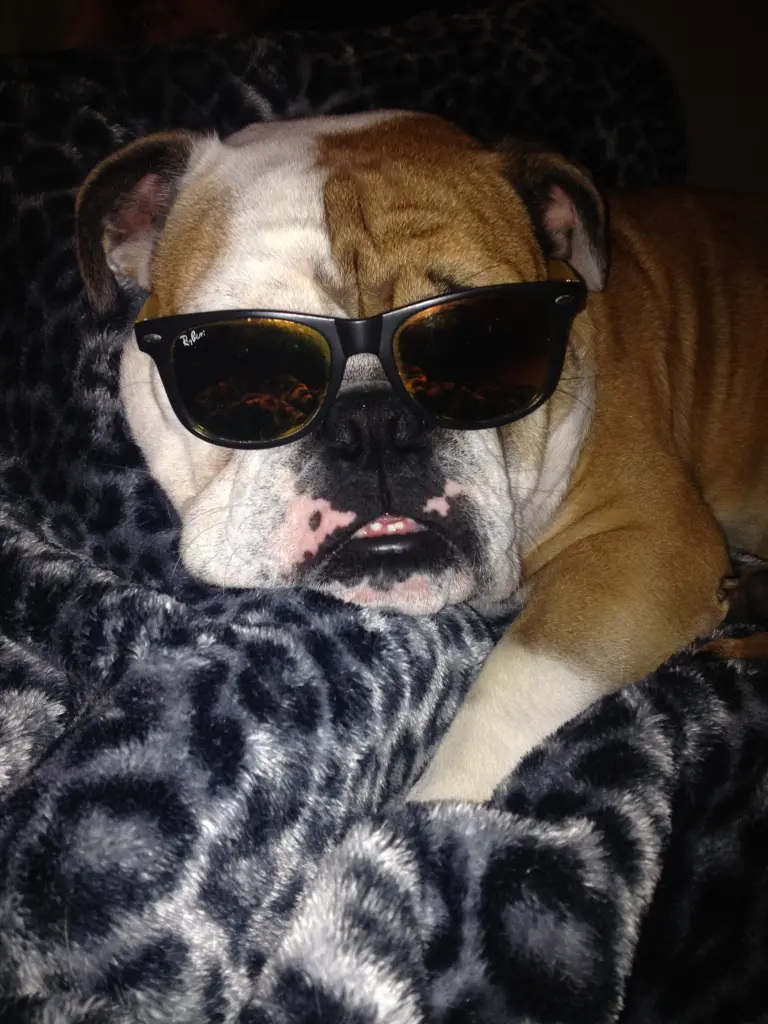 Andachtsbild von Corina