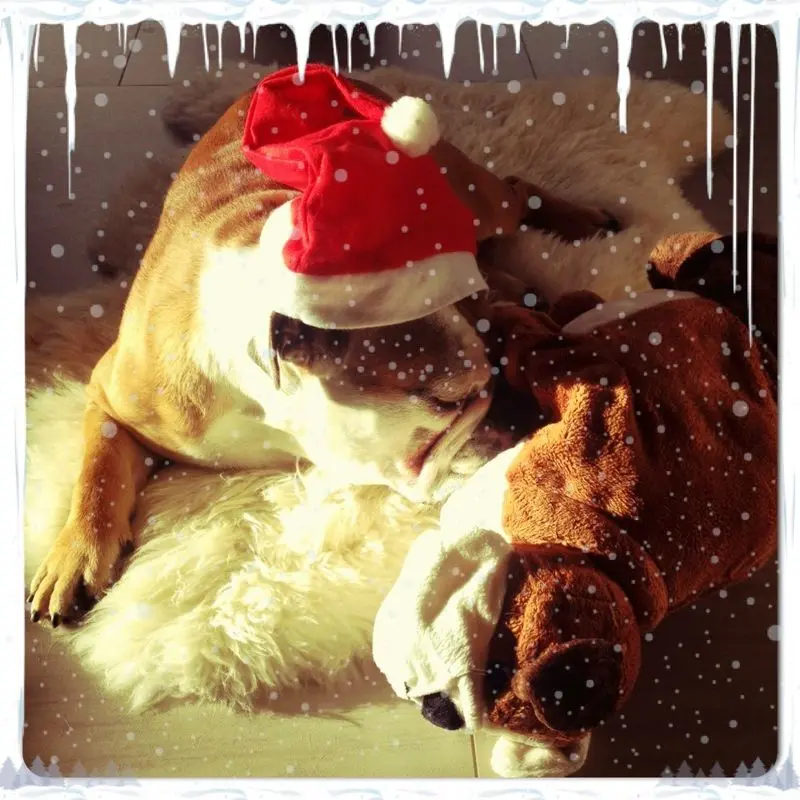 Andachtsbild von Corina <3