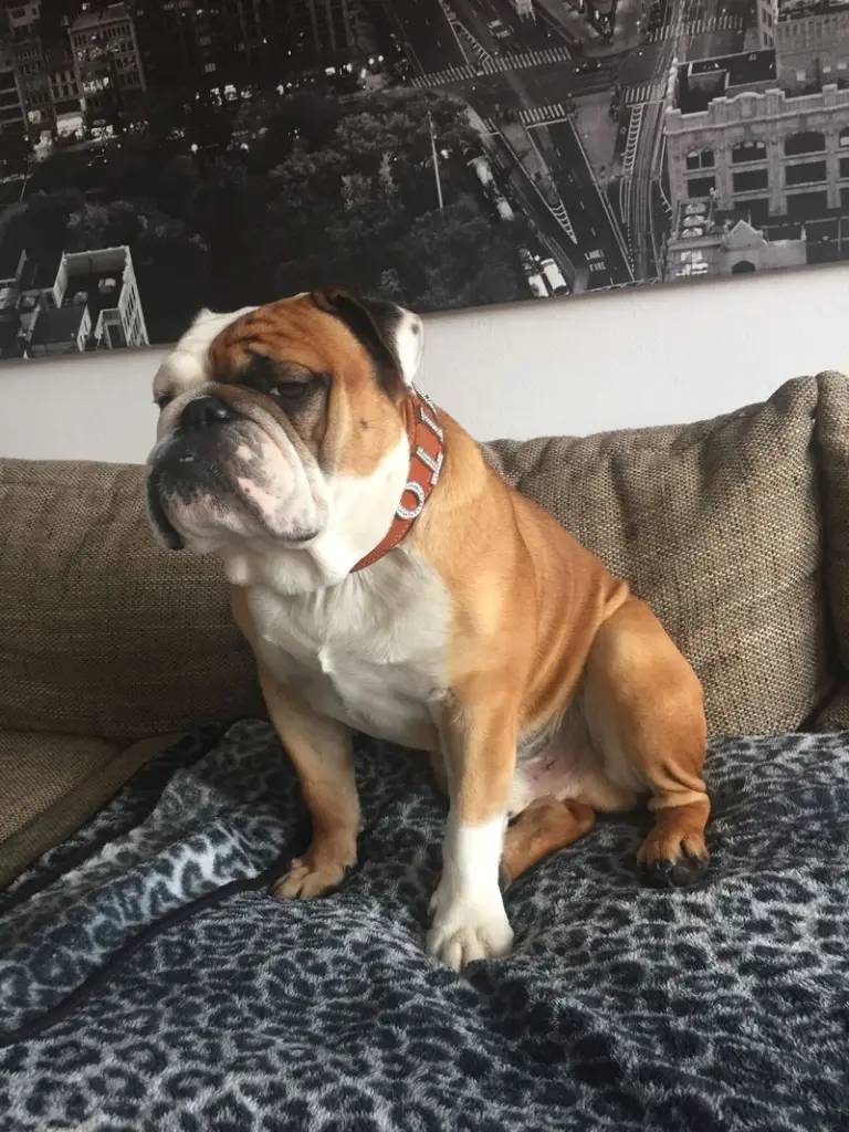 Andachtsbild von Corina <3