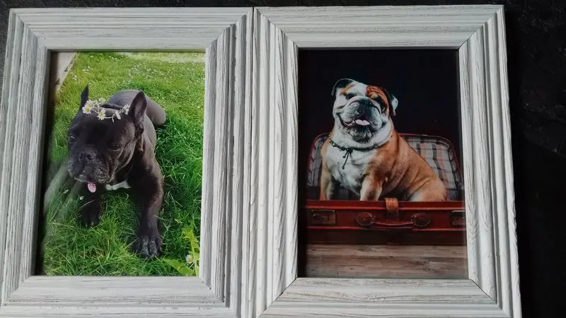 Andachtsbild von Diana