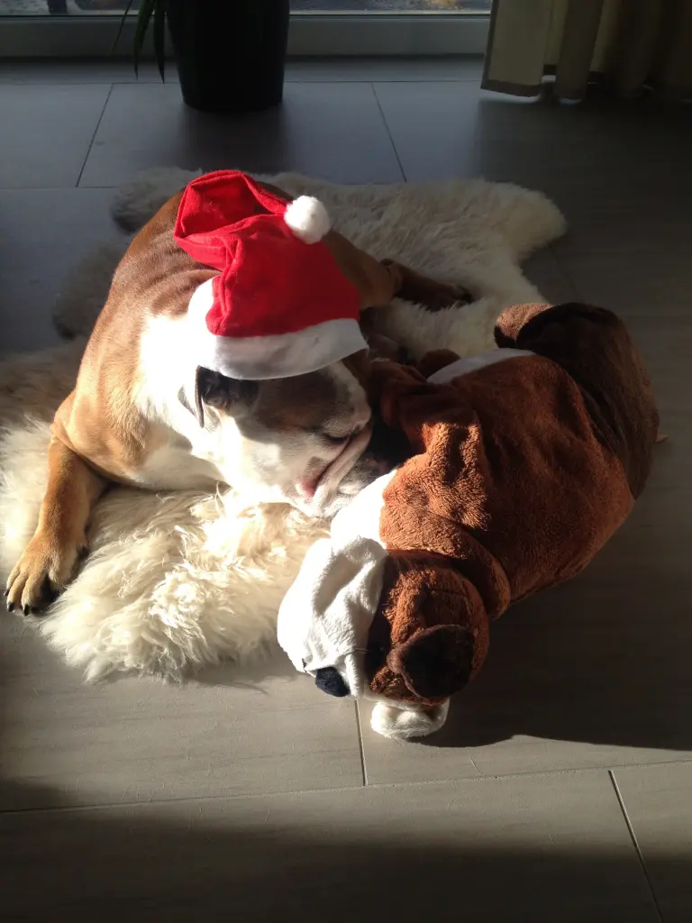 Andachtsbild von Corina <3