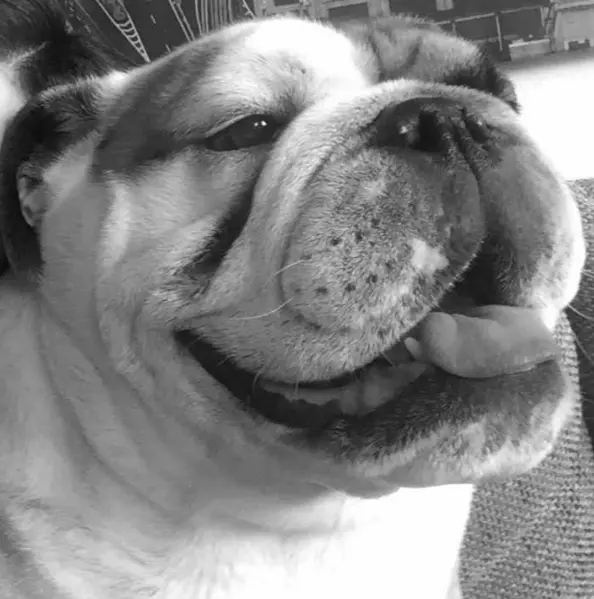 Andachtsbild von Corina <3