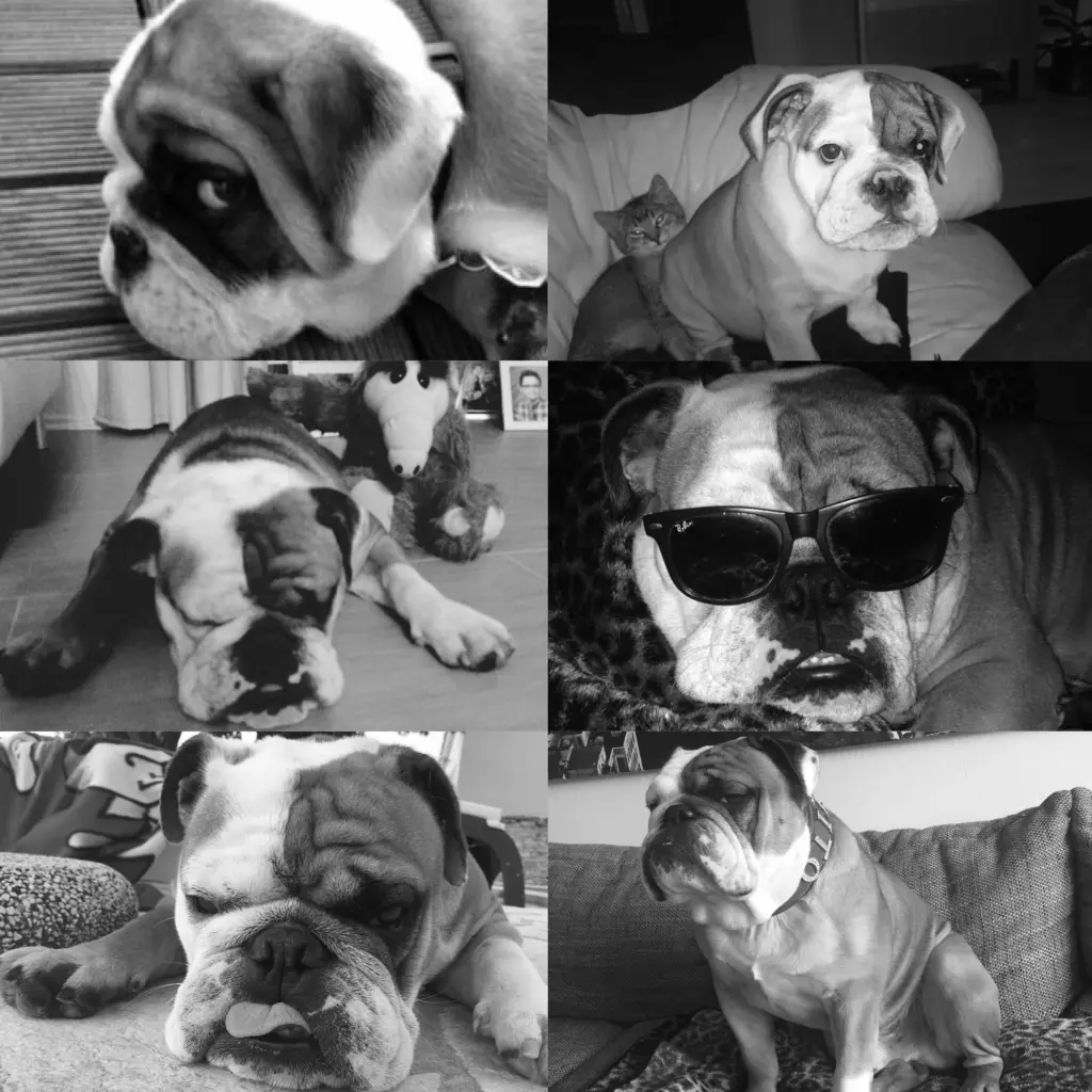 Andachtsbild von Corina <3