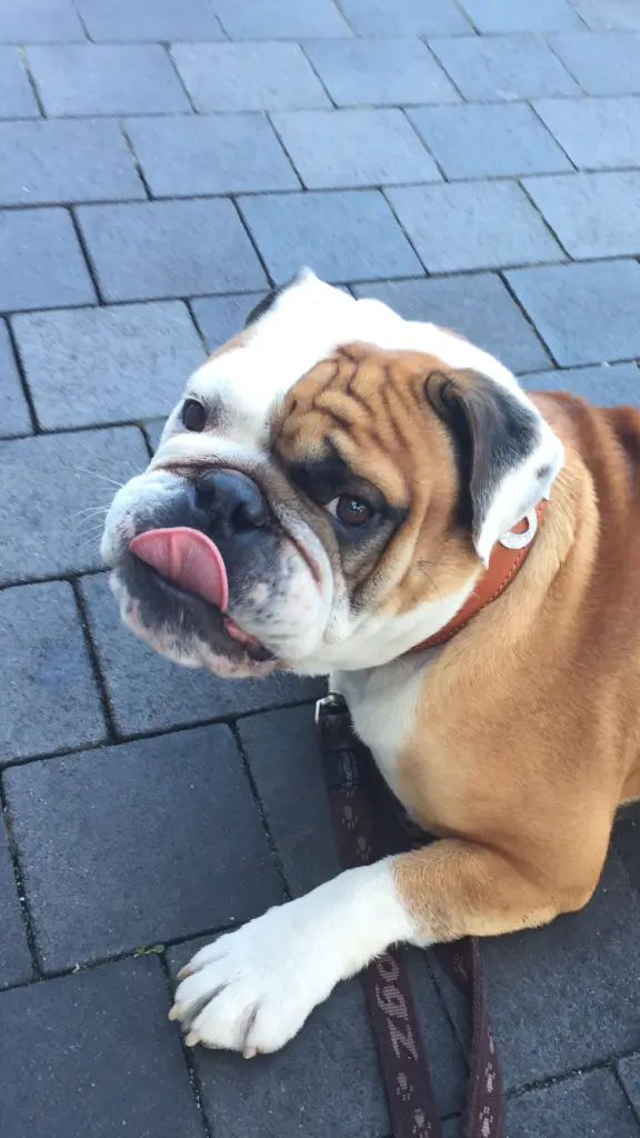 Andachtsbild von Corina <3