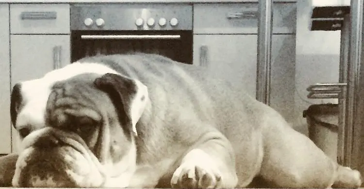 Andachtsbild von Corina <3