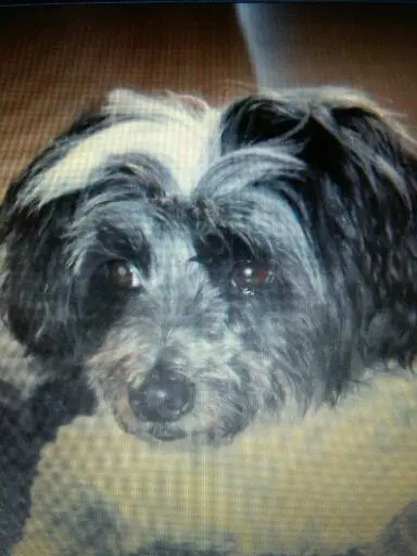 Condolence image of Sigrid