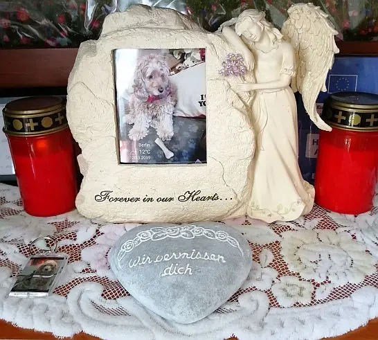 Condolence image of Volker. Uta mit Ruby und Man