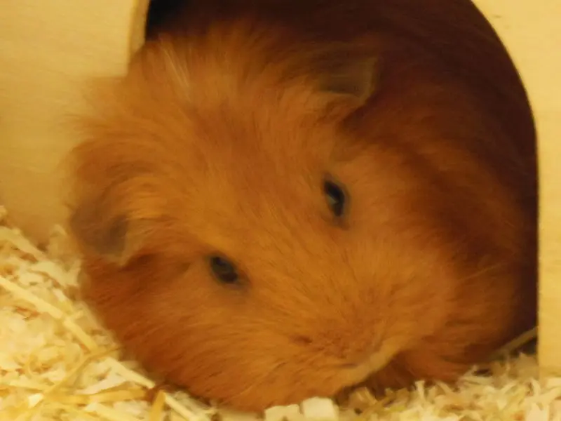 Condolence image of Matthias