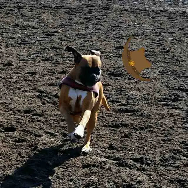Image from Roxy