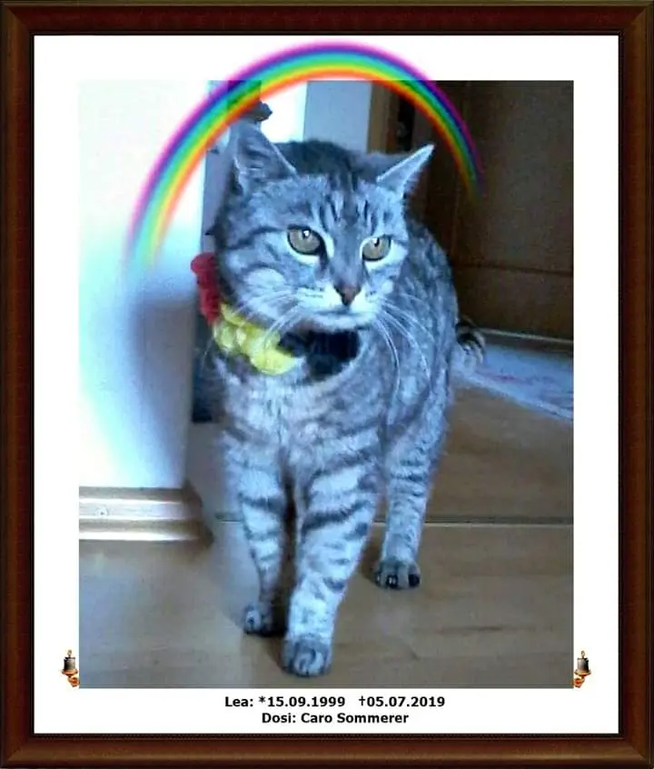 Condolence image of Caro Sommerer