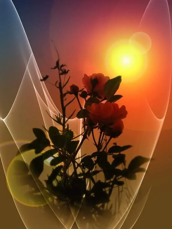 Condolence image of Christine