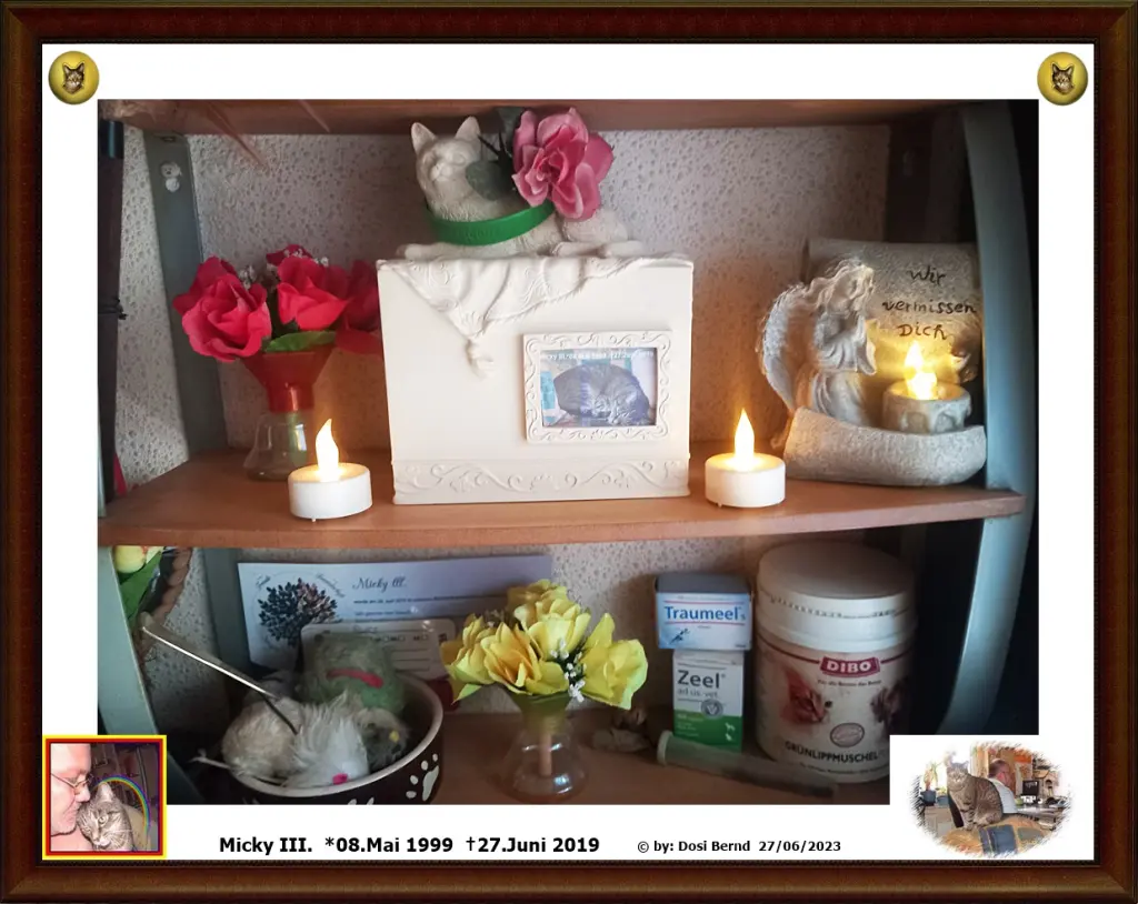Condolence image of Bernhard