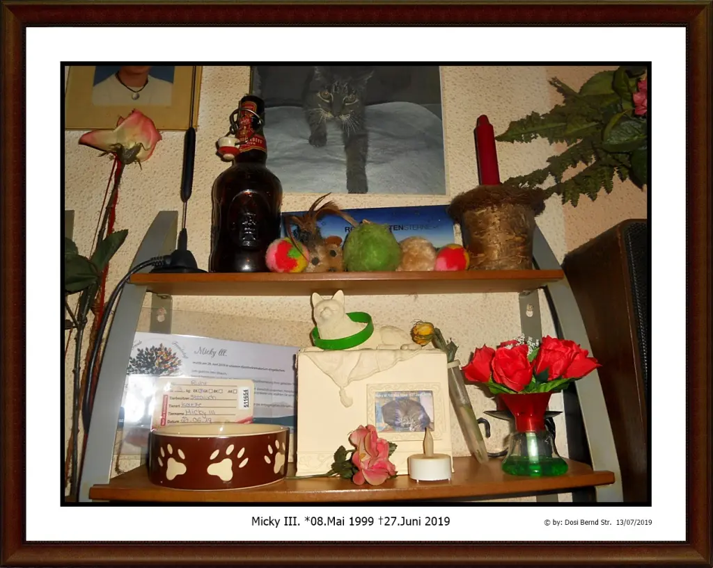 Image from Micky III.