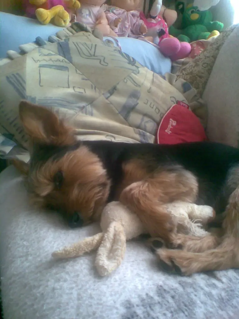 Image from Charly