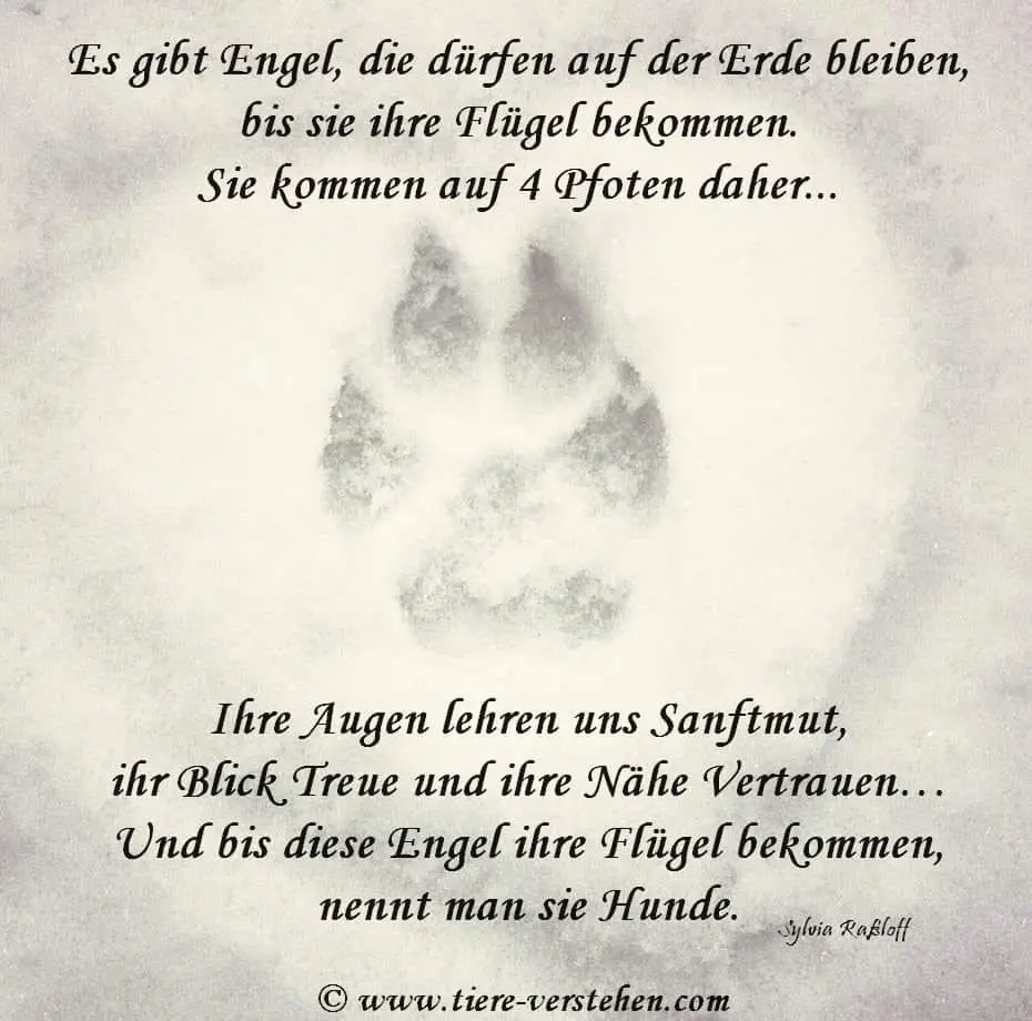 Condolence image of Martina
