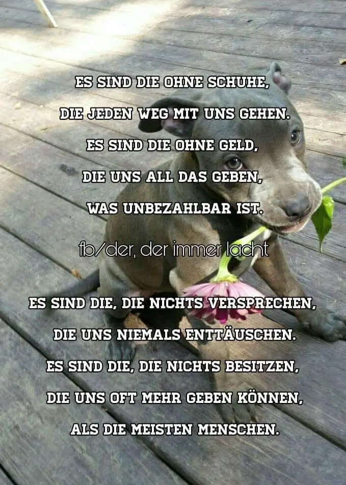 Condolence image of Sandra