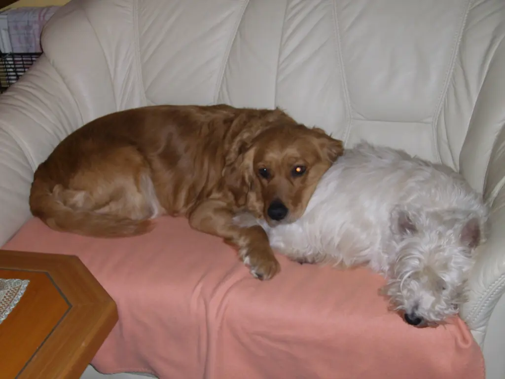 Condolence image of Ellen mit Lina ♥️
