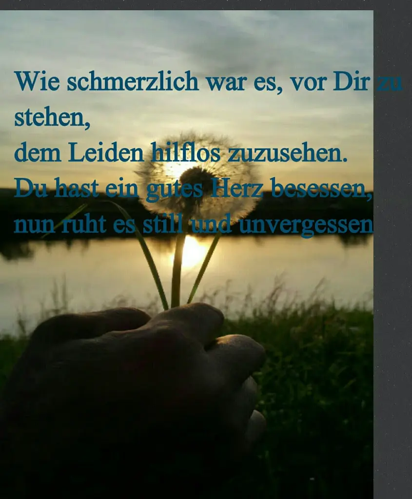 Condolence image of Unbekannt