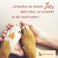 Condolence image of Für  Verena 