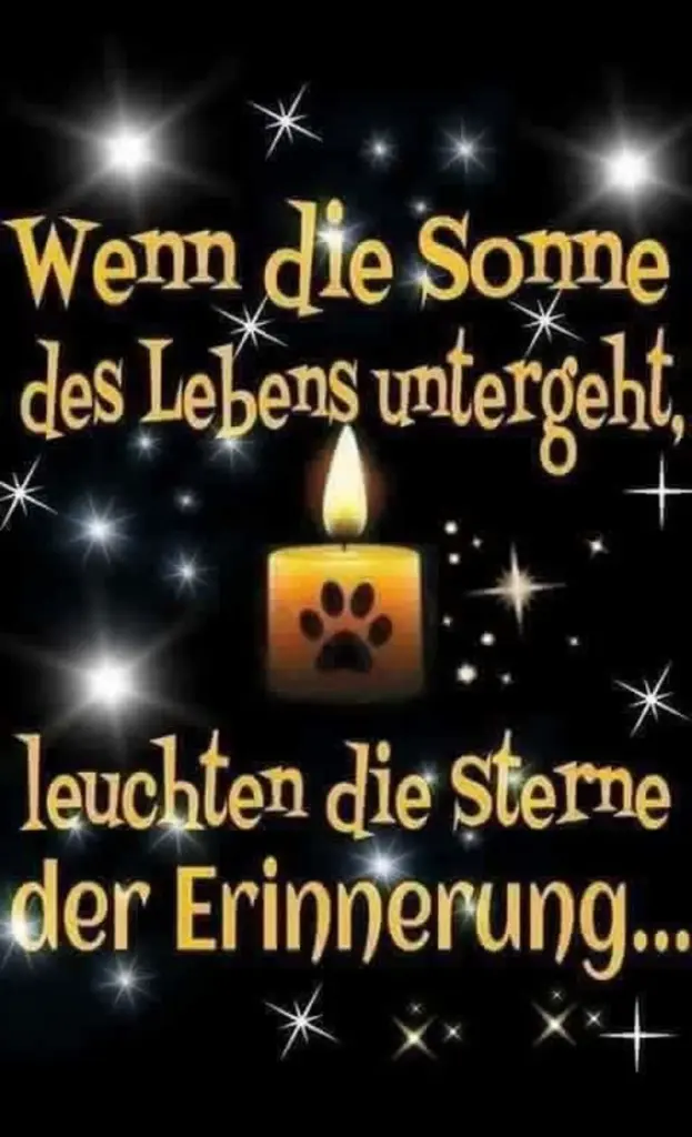 Condolence image of Für Sternchen Olli von Birte
