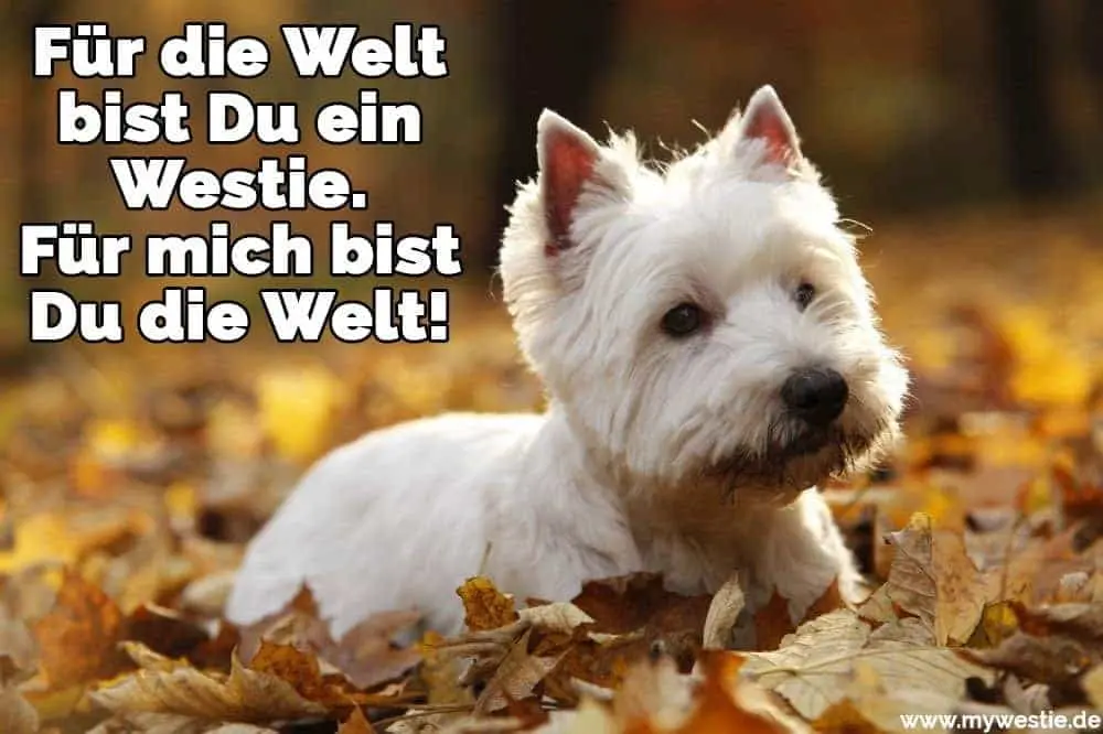 Condolence image of Unbekannt