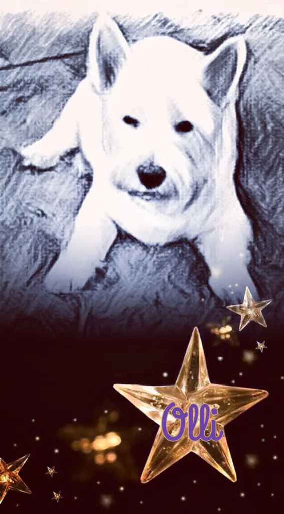 Condolence image of Ellen mit Lina ♥️