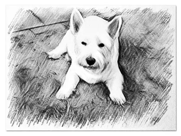 Condolence image of Ellen mit Lina ♥️