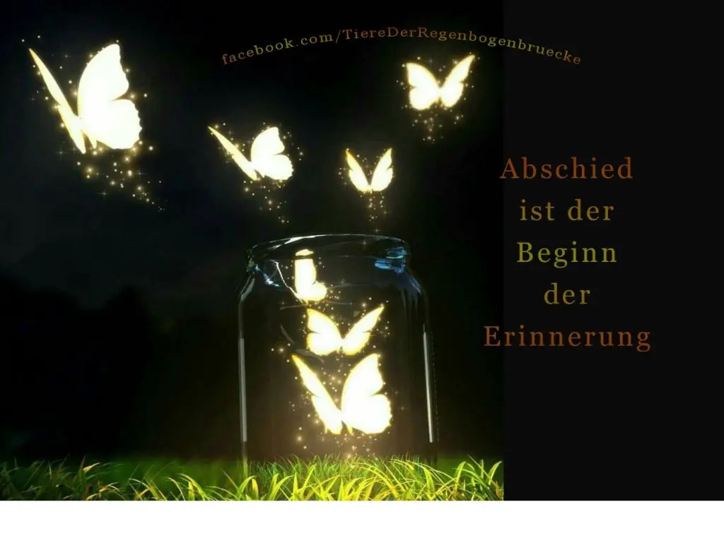 Condolence image of Frauchen
