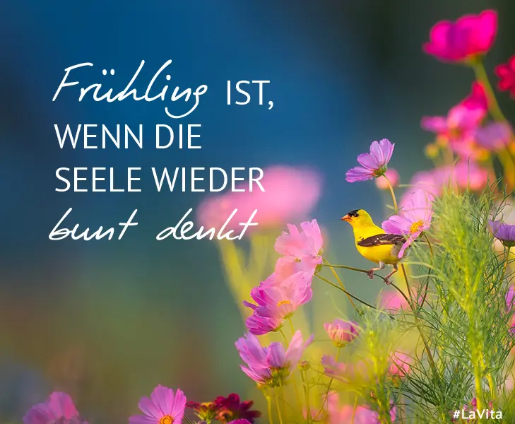 Condolence image of Unbekannt