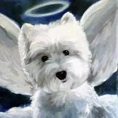 Condolence image of Birte &Nando ⭐