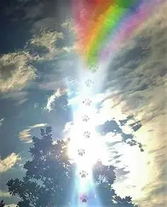 Condolence image of Unbekannt