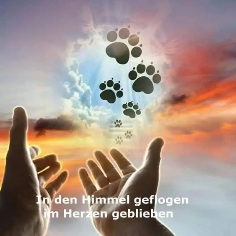 Condolence image of Unbekannt