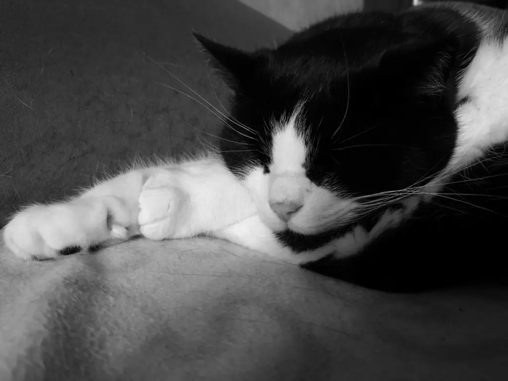 Andachtsbild von Astrid
