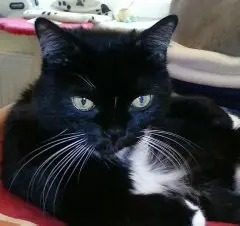 Bild von Miki