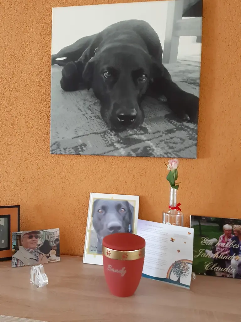 Condolence image of Claudia mit Sandy im Herzen