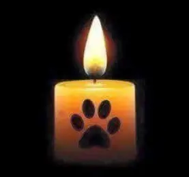 Condolence image of Iris mit Louis im ♥️ und Candy an meiner Seite