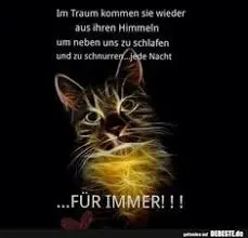 Condolence image of Helmut mit Benny im Herzen
