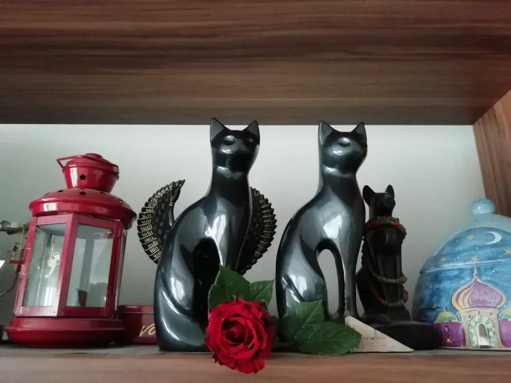 Image from Lord