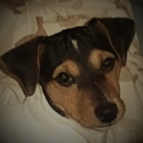 Andachtsbild von Peter aus Köln