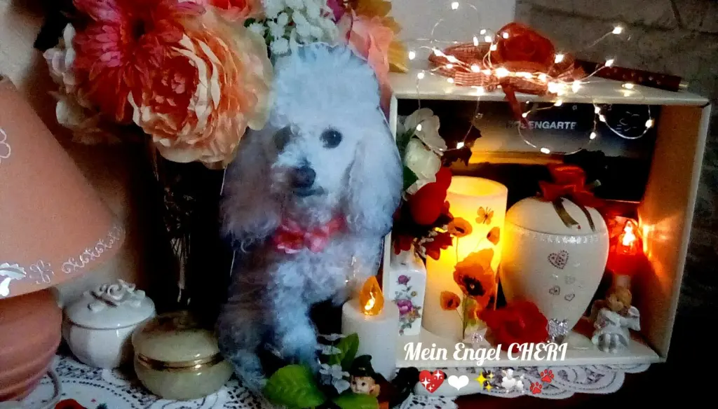 Andachtsbild von Angela mit CHERI ❤✨im Herzen