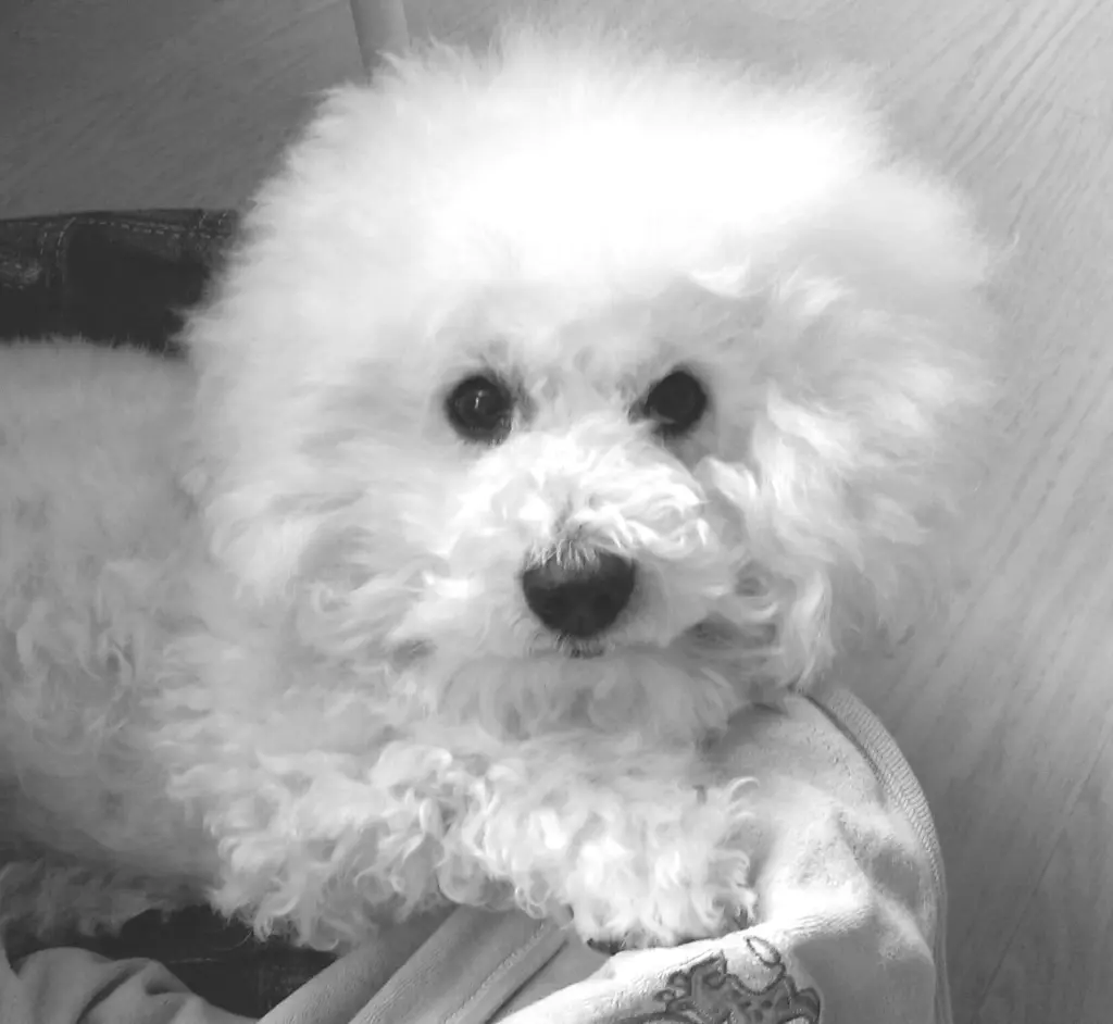 Andachtsbild von Dulce mit Nino tief im Herzen ❤