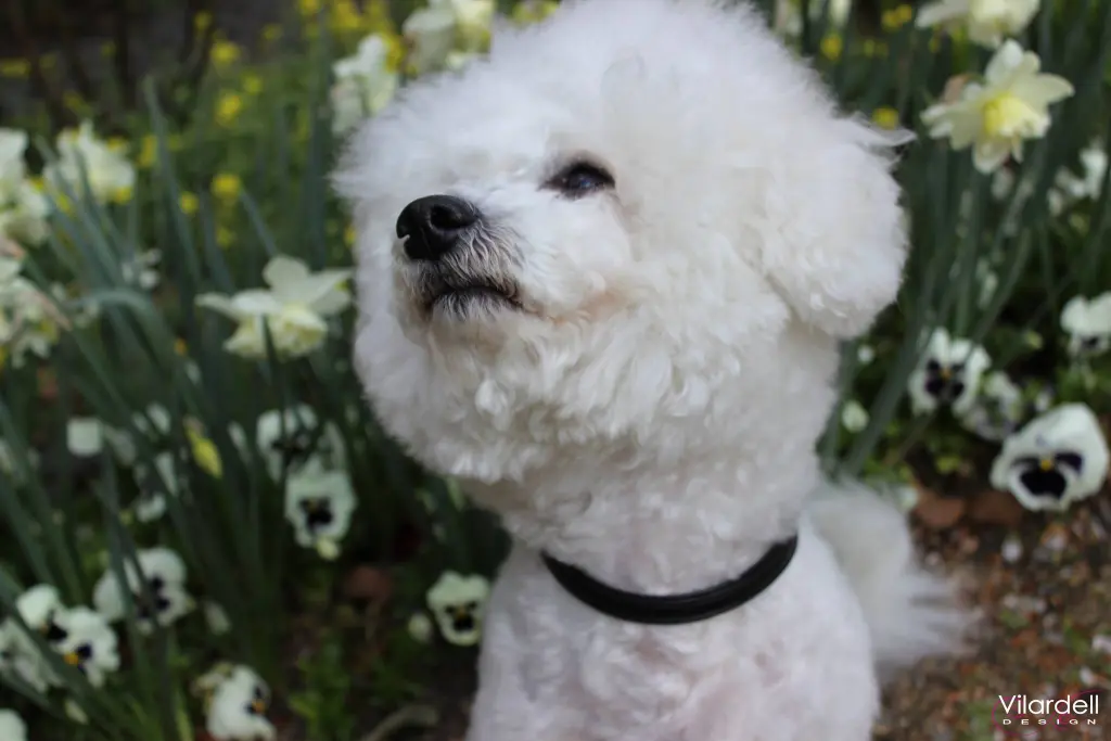 Andachtsbild von  Dulce mit Dir Nino tief im Herzen ❤ 