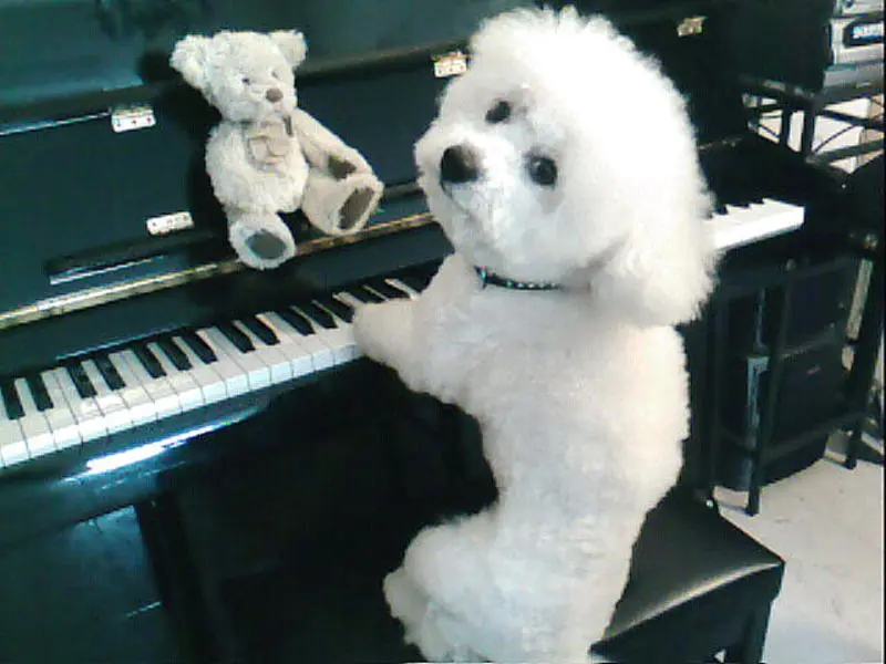 Andachtsbild von Dulce mit Dir Nino tief im Herzen ❤