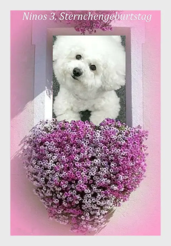 Andachtsbild von Sabine mit Kaspar tief im Herzen