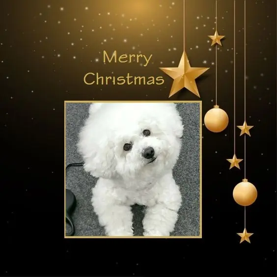 Andachtsbild von Weihnachtsgrüße die von Herzen kommen✰ ¸.•*¨*•.